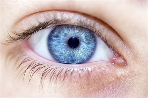 If they have not been exposed to humans they will likely be. Can LASIK Change Your Eye Color? | Lasik of Nevada