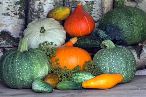 Free Images Food Harvest Produce Vegetable Pumpkin Still Life