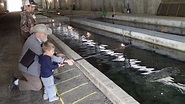 Jordan River National Fish Hatchery | Michigan