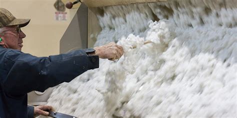 The People And Science Behind American Cotton Gins Blog Homegrown Cotton