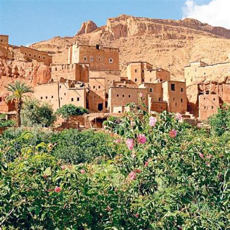 Valley Of Roses Trekking In Morocco Day Trips From Marrakech Marrakech
