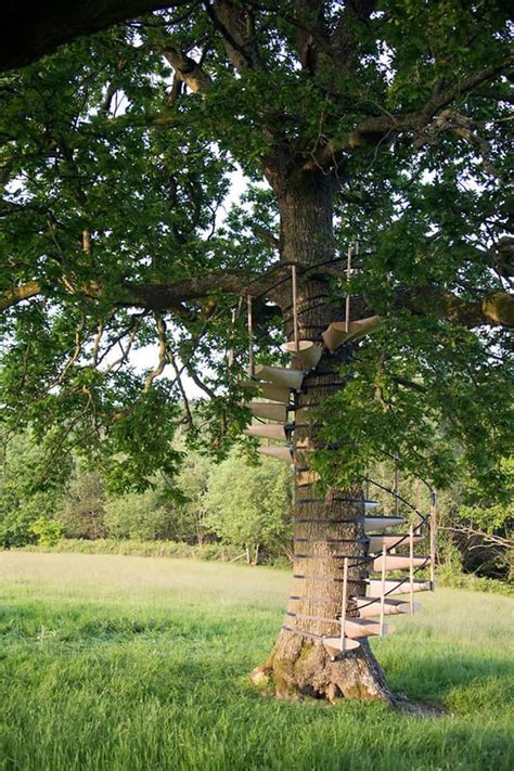 The coast rack is made from a natural. How to Build a Treehouse in the Backyard