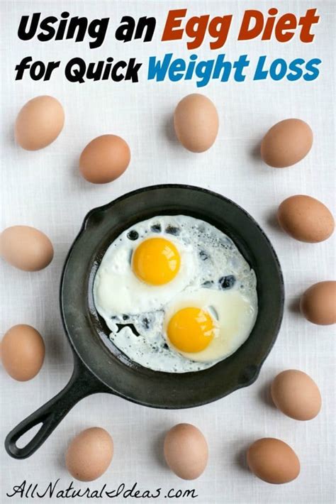 In addition to being low in fat and calories, they're high in protein, which can help. Egg Fast Diet to Lose Weight Quickly | All Natural Ideas