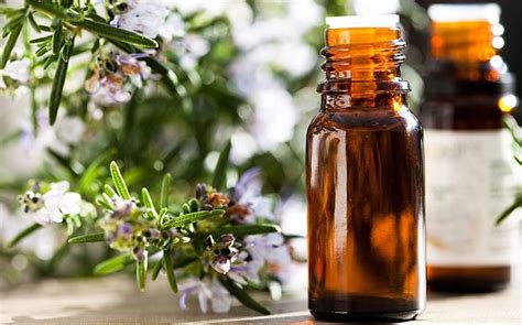 While user testimonials abound, personal statements are not a substitute for proper medical care to establish a cause for these problems. 10 Best Essential Oils That Help Vertigo | New Health Advisor