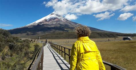 From Quito Cotopaxi National Park Full Day Tour With Hike Getyourguide