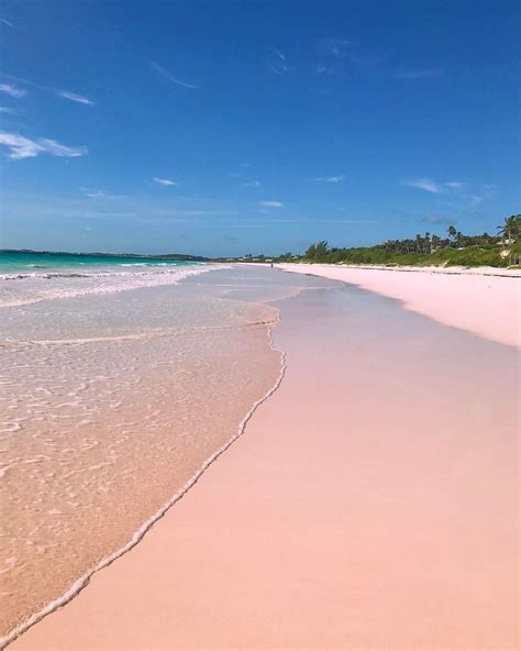Turns Out Nature Started The Millennial Pink Trend Who Knew Pink Sand