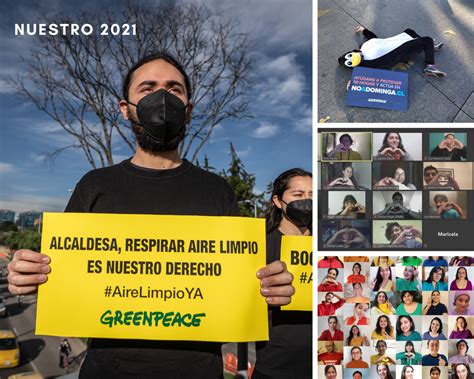 Fundación Greenpeace Argentina Voluntariado Un Recorrido Por Nuestro