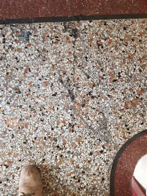 It should have a smooth, glossy look. 50 years old Terrazzo Floor | Stone Rescue