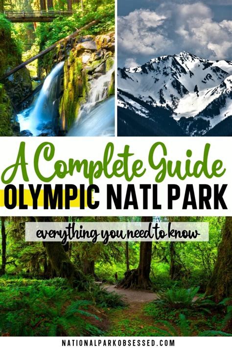 Visiting Olympic National Park The Complete Guide In 2022 National