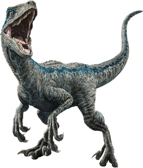 Image Fallen Kingdom Blue The Velociraptor V3 By Sonichedgehog2 Dc9x53opng Jurassic Park