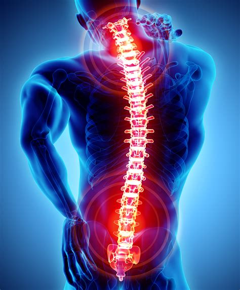 Spinal Neck And Back Pain Coulsdon Osteopathic Clinic