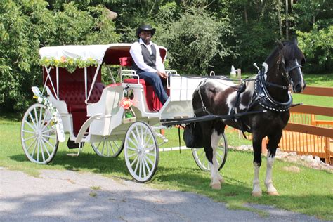 Mos Carriages And Trail Rides