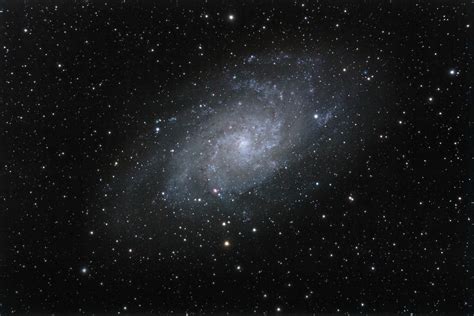 Triangulum Galaxy Sponli News