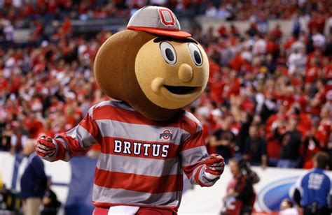 Photo Brutus Buckeye Sums Up How Ohio State Fans Are Feeling The