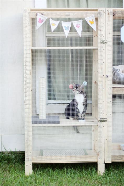 Maybe you would like to learn more about one of these? How To Turn An IKEA Shelf Into A Catio in 2020 | Ikea hack, Ikea diy, Cat window