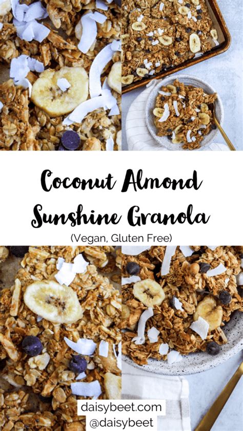 Coconut Almond Sunshine Granola Vegan Gluten Free Daisybeet