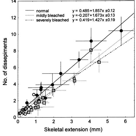 Relationship Between Skeletal Extension And Number Of Dissepiments D