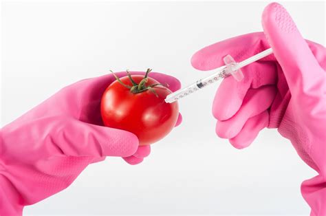 Pros And Cons Of Genetically Modified Foods Biology Ease