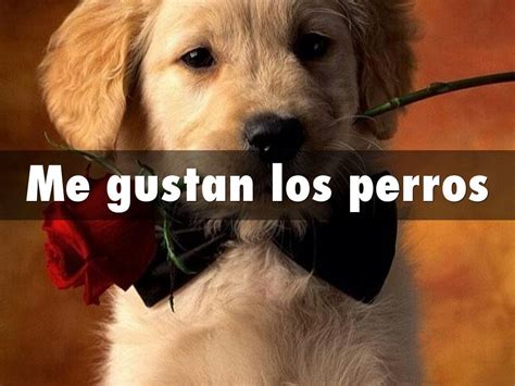 Gustar Verbs Your 101 Guide To The Verb Gustar In Spanish