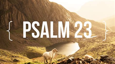 The lament psalms, the thanksgiving psalms and the book of lamentations reﬂect the common experience of sin and evil for everyone living in a fallen world. Psalm 23 - Week 1 | Saylorville Church - Des Moines, Iowa
