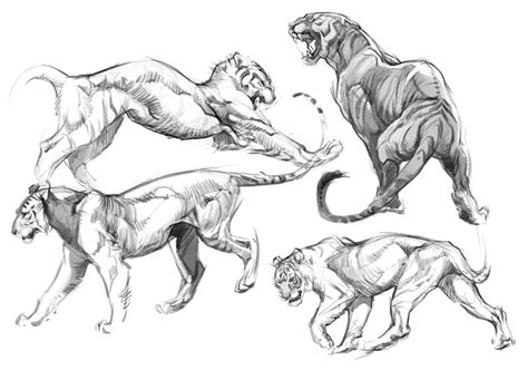 My teen has enjoyed learning to draw a variety of adorable animals. Art by Christine Bian* • Blog/Website | (http://www.christinebian.tumblr.com) ★ || CHARACTER ...