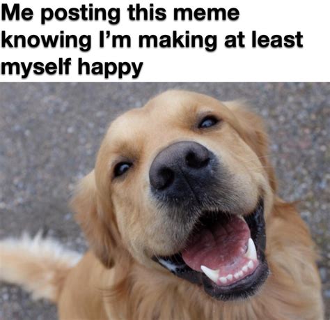Boromir happy birthday humor memes. Happy dog : memes