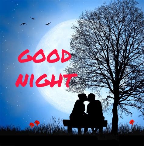 Heart Melting Good Night Messages Quotes For Lover With Images