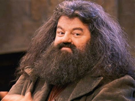 Rubeus Hagrid By Robbie Coltrane Harry Potter Halloween Costumes