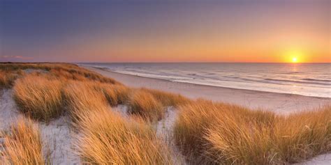 Dunes And Beach At Sunset On Texel Island The Netherlands
