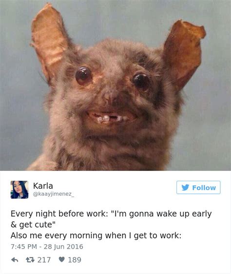 61 Funny Memes About Work That You Should Laugh At Instead Of Working Virascoop