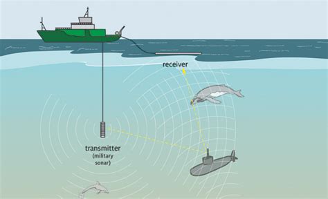Underwater Noise Problems Come On The Surface SAFETY SEA