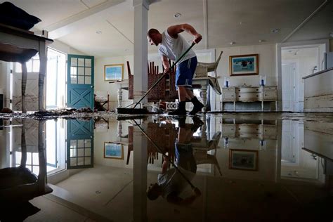 How To Take Professional Services After Water Damage Restoration We