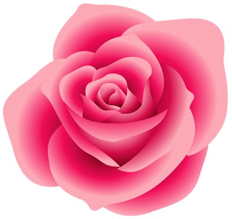 Large Pink Rose Clipart Rose Clipart Rose Pink Rose Png