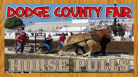 Draft Horse Pulls At The Dodge County Fair Youtube