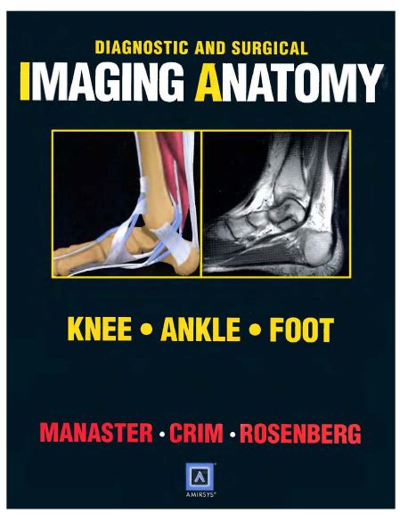 Diagnostic And Surgical Imaging Anatomy Knee Ankle Foot