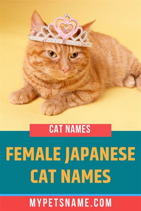 classic japanese female cat names with meanings my xxx hot girl