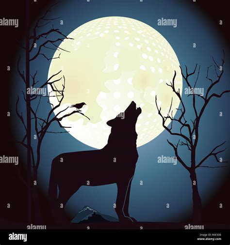 Wolf Howls At The Moon Stock Photo Alamy