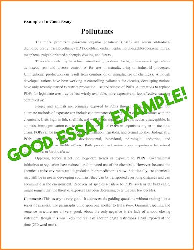Essay Examples Telegraph