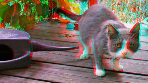 3d Anaglyphe Limpression 3d