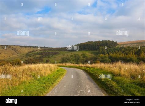 Scenic hillsides with trees, dry grasses and hedgerows by the road
