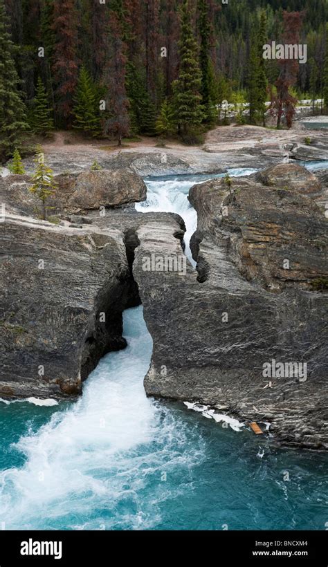 Natural Bridge Rock Formation Over Kicking Horse River Yoho National