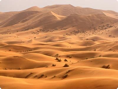Sahara Desert The Hottest Desert In The World Found The World