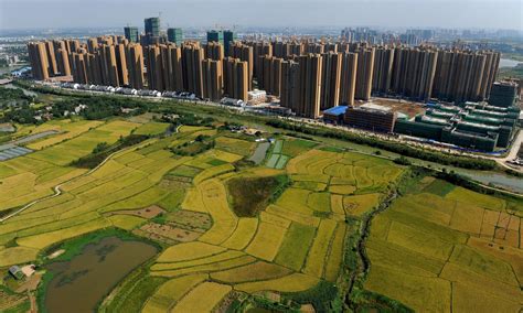 Chinas Urban Sprawl Raises Key Question Can It Feed Its People