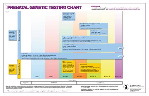 Prenatal Genetic Testing Chart Infographic Infographics