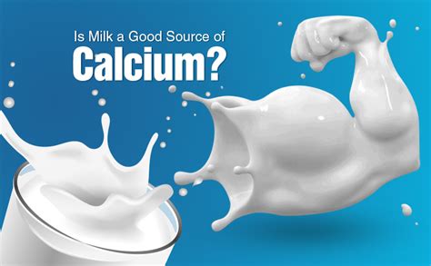 Is Milk A Good Source Of Calcium Dollons