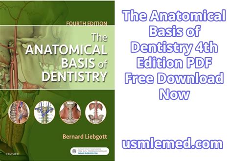 The Anatomical Basis Of Dentistry 4th Edition Pdf Free Download