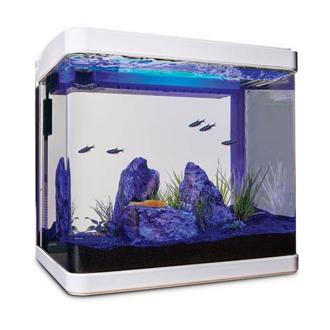 Imagitarium Freshwater Cube Aquarium Kit 52 Gal Petco