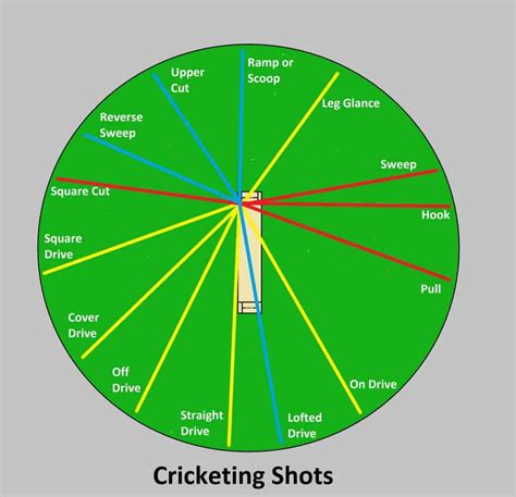 Different Types Of Cricket Shots The Ultimate Guide Cricket Mastery