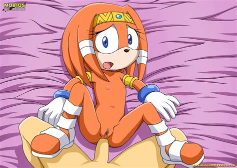 Rule 34 Anal Bbmbbf Flat Chest Flat Chested Furry Mobius Unleashed Palcomix Sega Sex Sonic