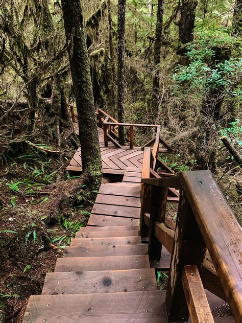 17 Incredible Tofino Hiking Trails A Hikers Guide To Tofino Ucluelet